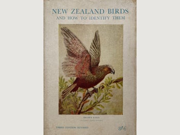 Image 1 of 18