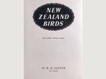 Image 1 of 18