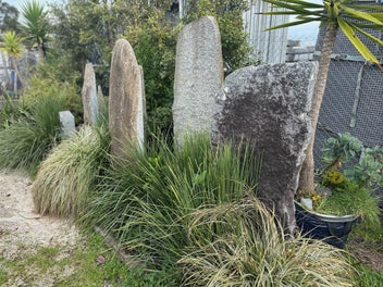 Image 1 of 5