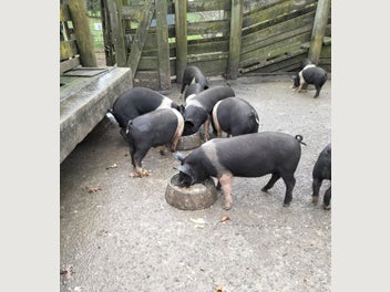 Image 1 of 8