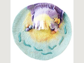 Image 1 of 9
