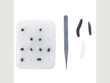 Image 1 of 8