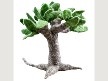 Image 1 of 5