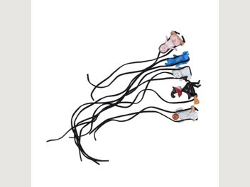 Image 1 of 8
