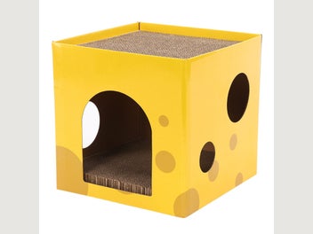 Image 1 of 7