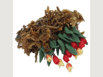 Image 1 of 8