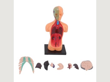 Image 1 of 8
