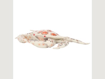 Image 1 of 8