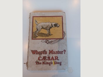 Image 1 of 14