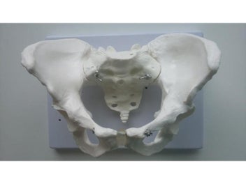 Image 1 of 8
