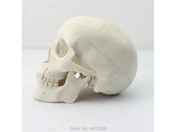 Image 1 of 9