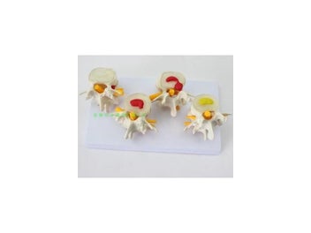 Image 1 of 10