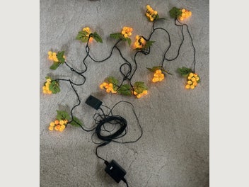 Image 1 of 7