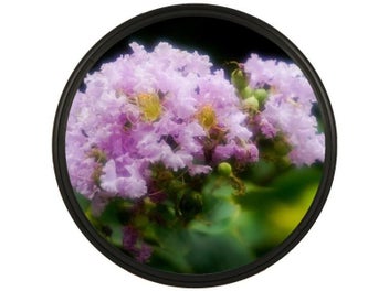 Image 1 of 9