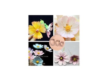 Image 1 of 10