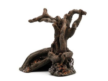 Image 1 of 9
