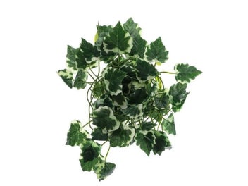 Image 1 of 9