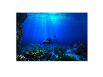 Image 1 of 9