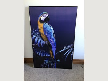 Image 1 of 7
