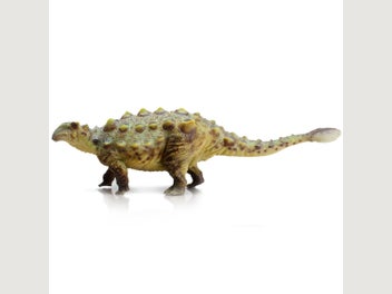 Image 1 of 12