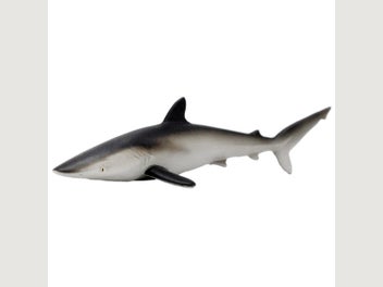 Image 1 of 13