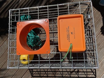 Image 1 of 20