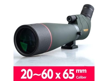 Image 1 of 10
