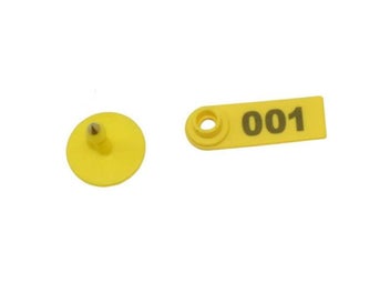 Image 1 of 9