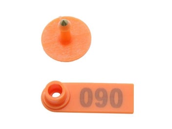 Image 1 of 10