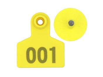 Image 1 of 10