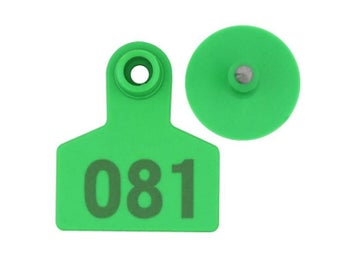 Image 1 of 10