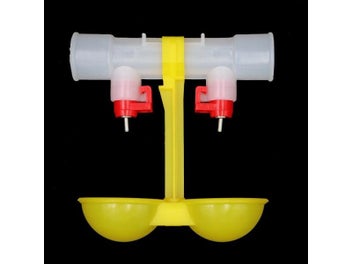 Image 1 of 9