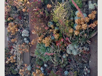 Image 1 of 19