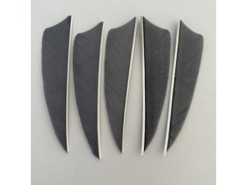 Image 1 of 9