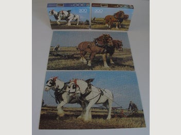 Image 1 of 11