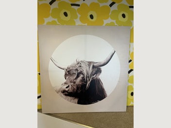 Image 1 of 7