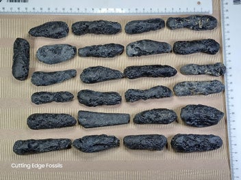 Image 1 of 19