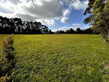 Image 1 of 8