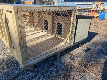 Image 1 of 11