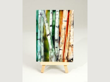Image 1 of 12