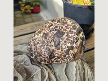 Image 1 of 8