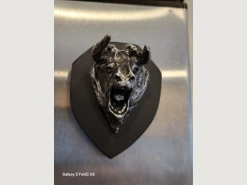 Image 1 of 5