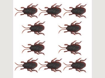 Image 1 of 8