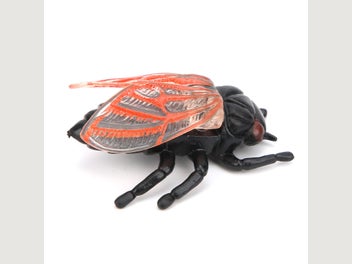 Image 1 of 8