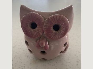 Image 1 of 7