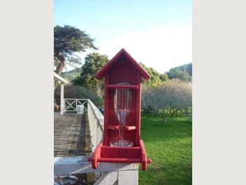 Image 1 of 11