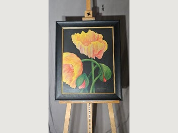 Image 1 of 7