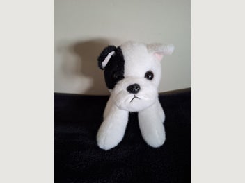 Image 1 of 7