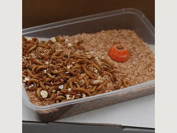 Image 1 of 2