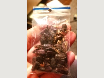Image 1 of 7